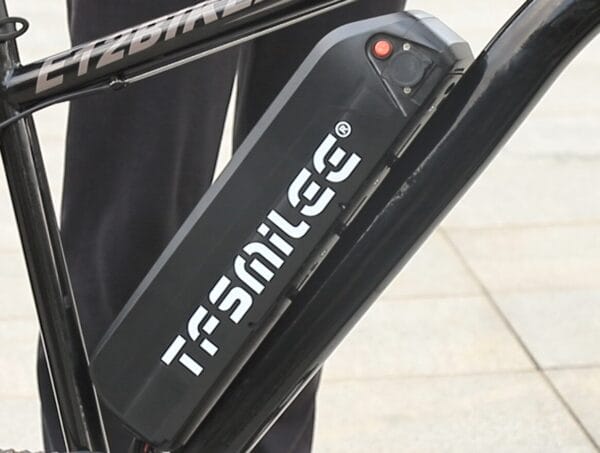 E12 - Electric Bicycle - Image 4