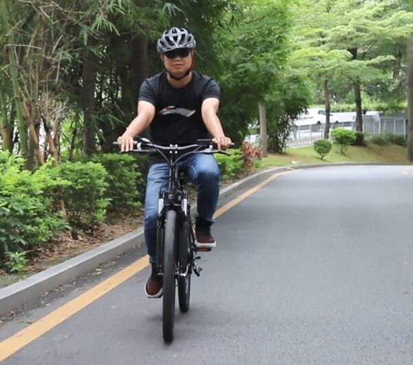 E12 - Electric Bicycle - Image 7