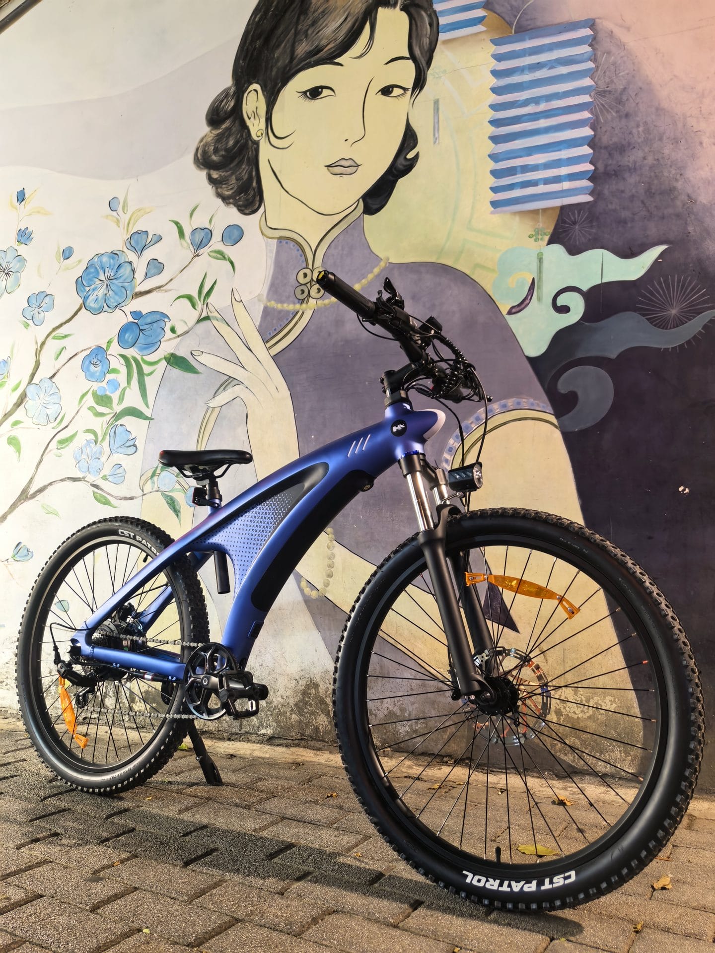 Q5 - Electric Mountain Bicycle - Image 2