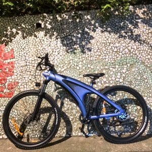 Q5 Electric Bicycle