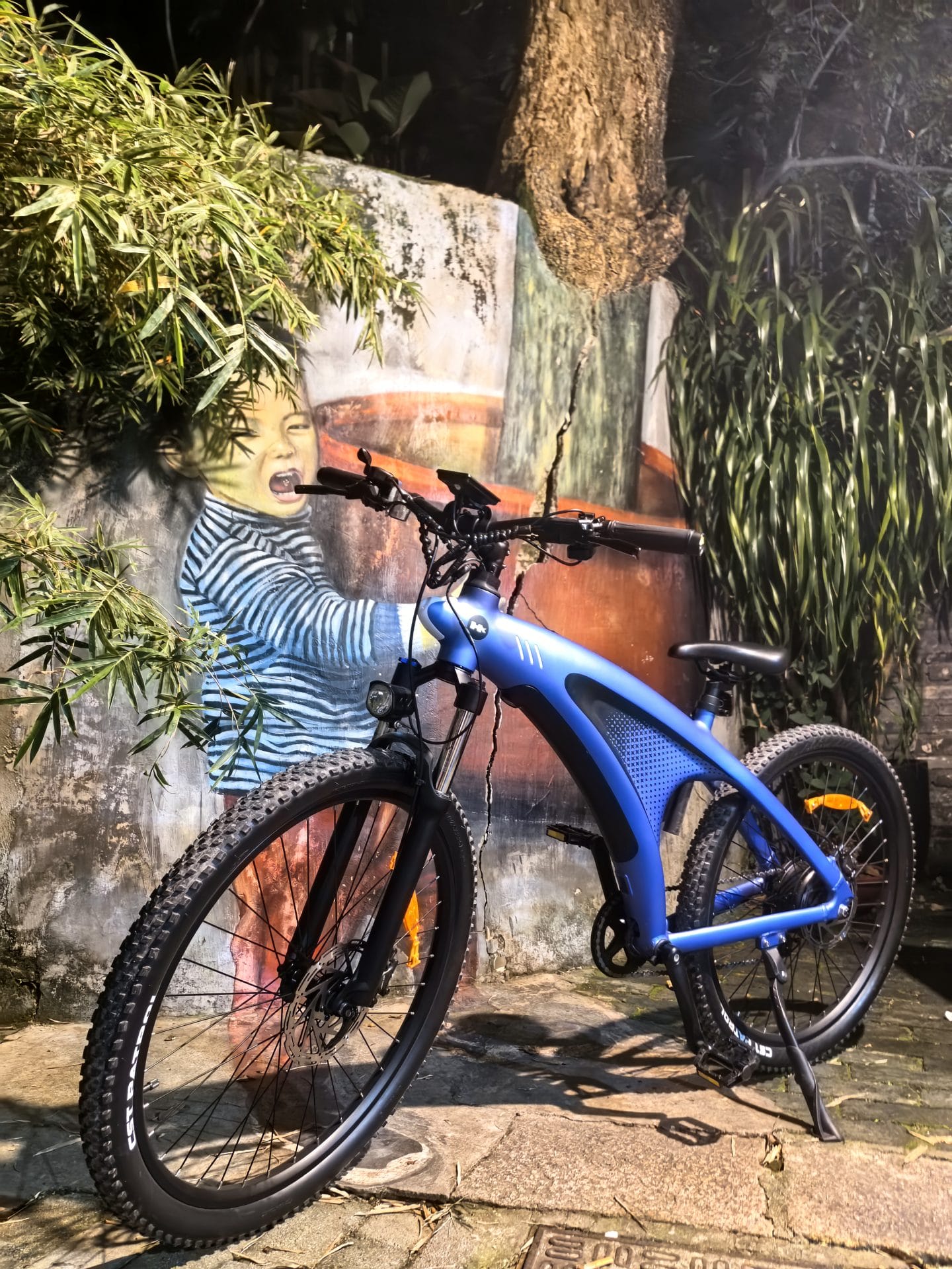 Q5 - Electric Mountain Bicycle - Image 5